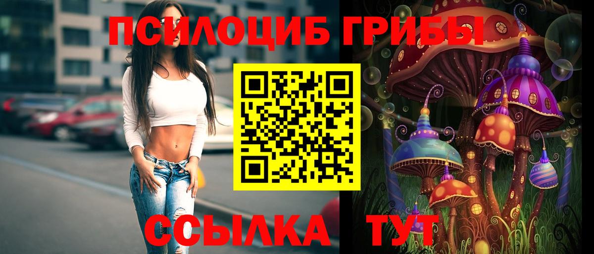 Галлюциногенные грибы Magic Shrooms Дивногорск